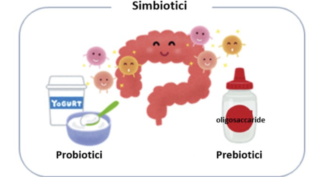 Probiotici e prebiotici: gli alleati del nostro microbiota