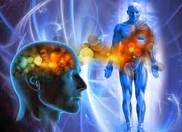 Train the Brain: La Scienza Conferma il Binomio Mente-Corpo per Invertire il Declino Cognitivo